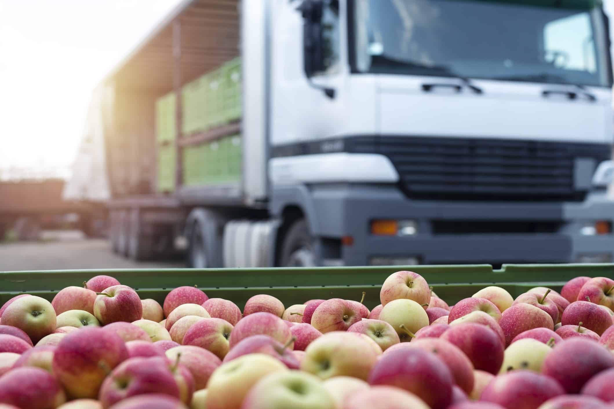 10 Best Food Distribution Companies FreightWaves Ratings